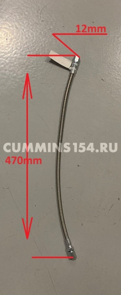 1538