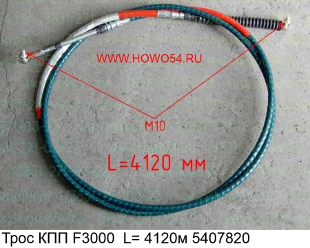 16856