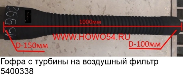 14203