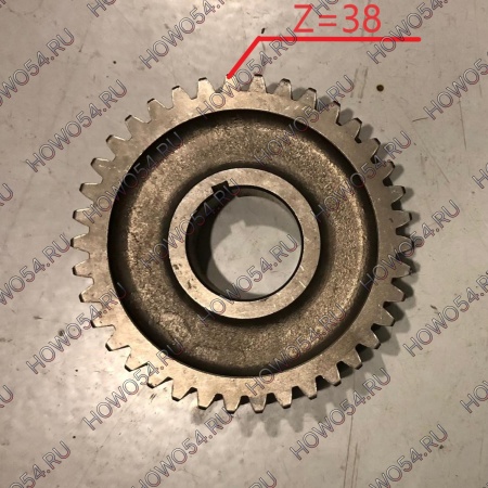 25305