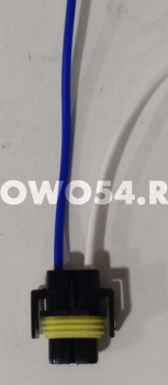 23336