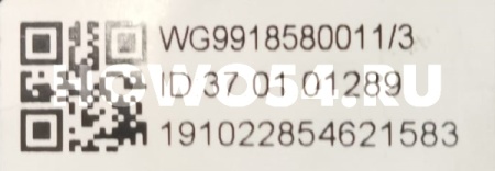 17645
